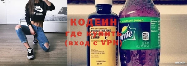 шишки Богородск