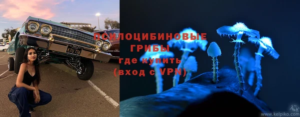 шишки Богородск