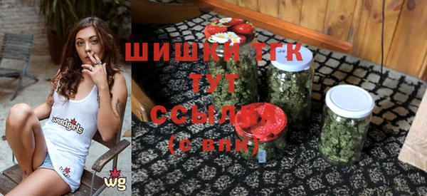шишки Богородск