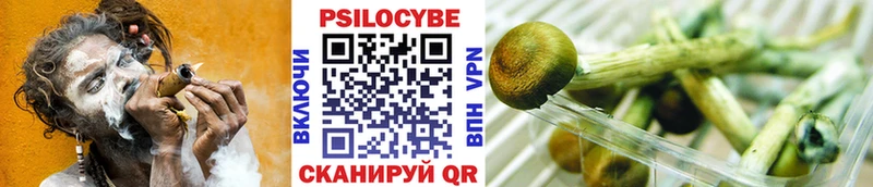 Галлюциногенные грибы мицелий  купить наркоту  Невьянск 